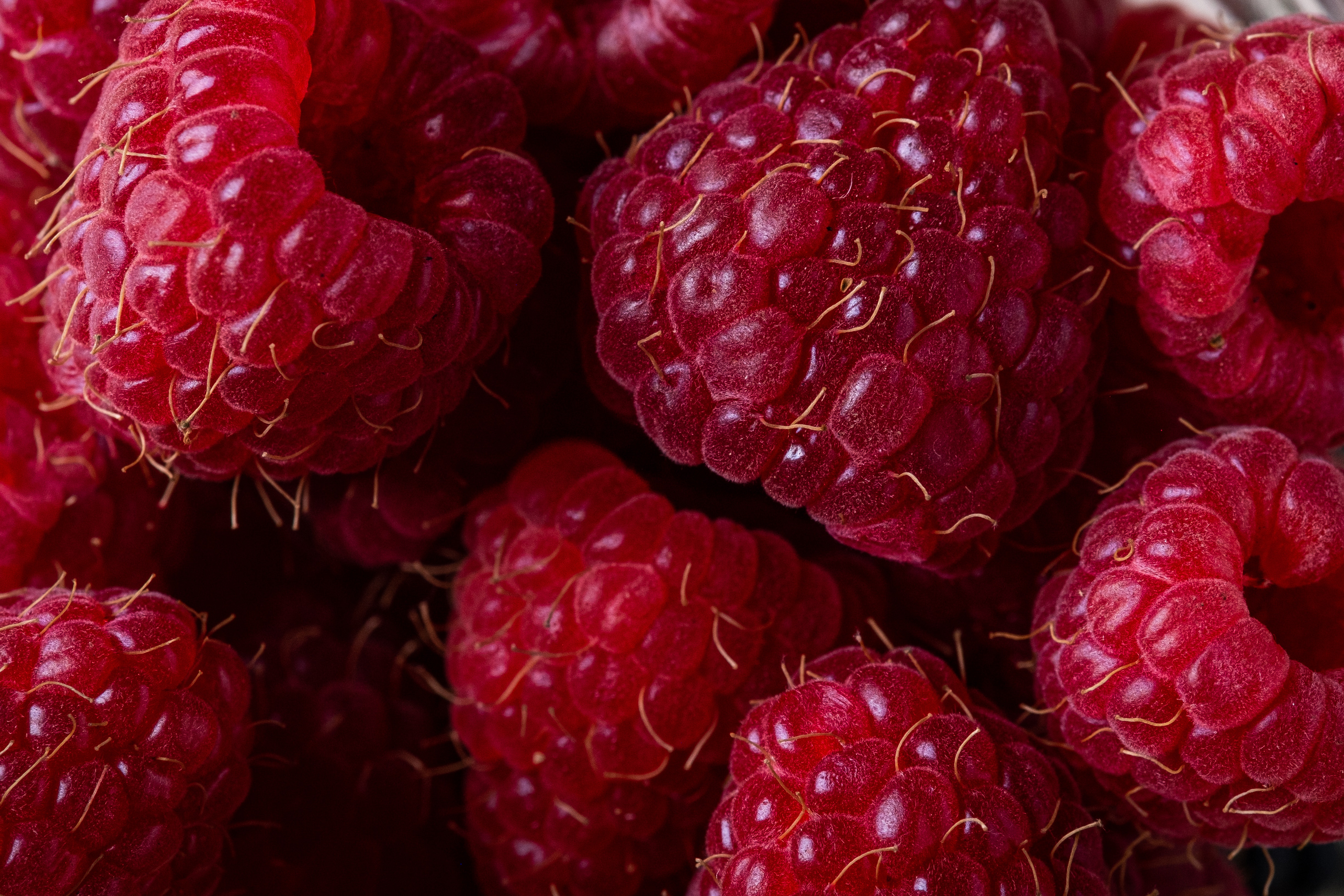 Close-up photo of raspberries