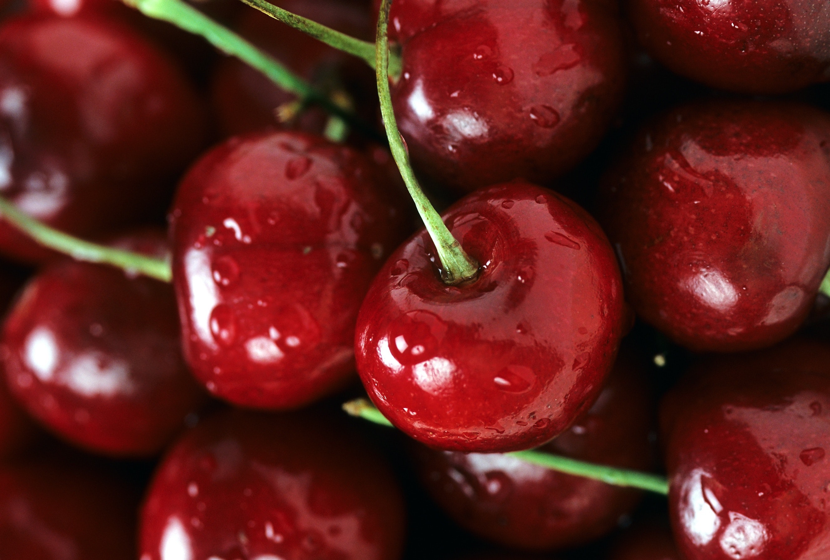 Close-Up of Cherries